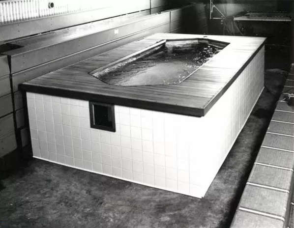The very first Endless™ Pool prototype